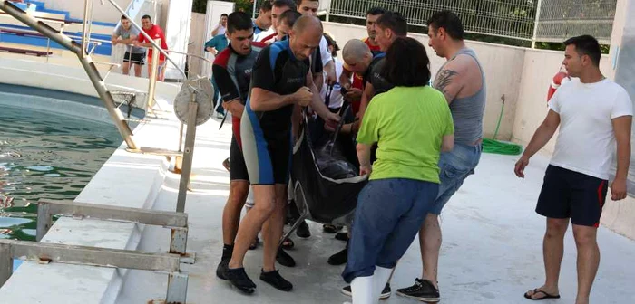 Vedetele au fost cărate cu ajutor unor tărgi speciale 