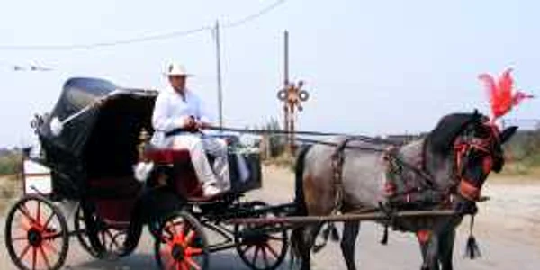 trăsura lui George Breazu 