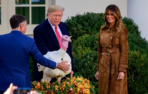 2 profimedia 0485047330 jpg jpeg