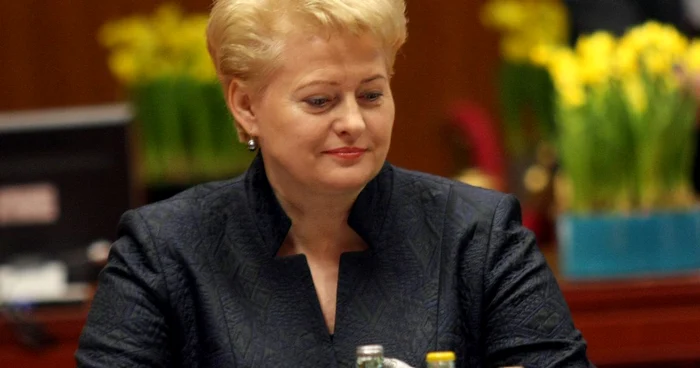 Dalia Grybauskaite, preşedintele Lituaniei a declarat că agitaţia politică din România a afectat absorţia fondurilor europene FOTO: Mediafax