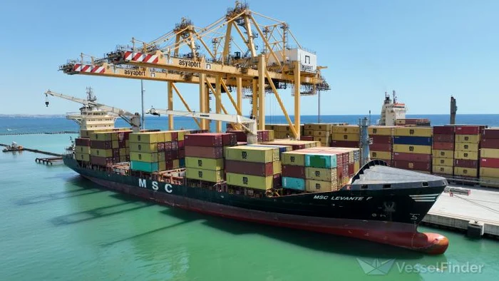 Vasul container MSC LEVANTE F/ FOTO:X