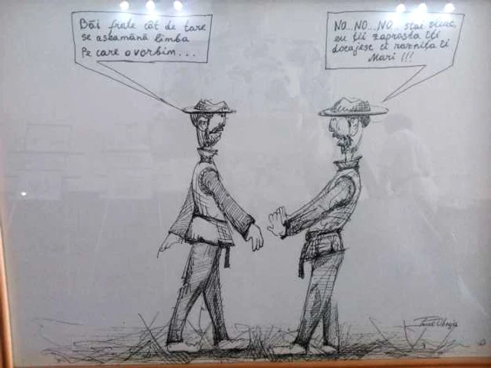 caricatura limba