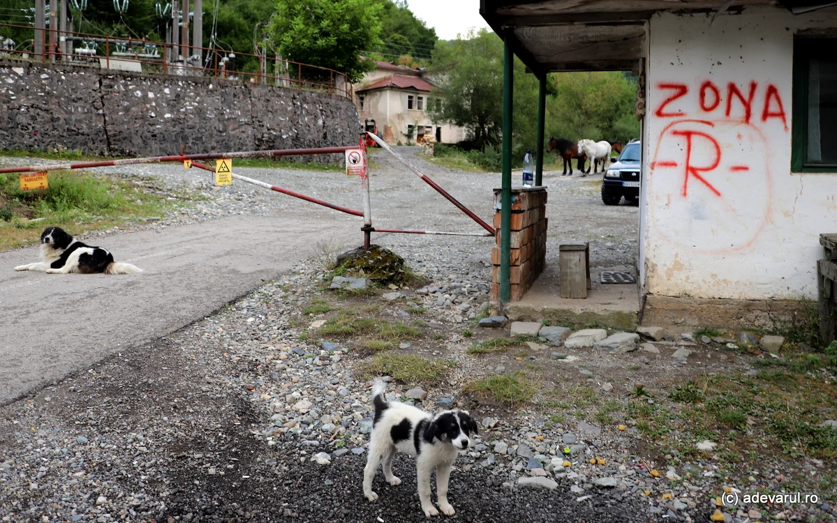 Zone ca Băița Plai (Bihorului) sunt cunoscute pentru radioactivitate. Foto: Daniel Guță. ADEVĂRUL