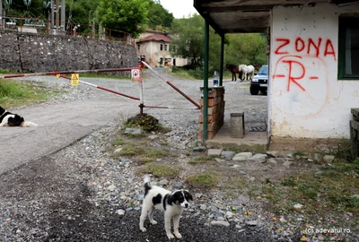 Uraniu   Foto Daniel Guță ADEVĂRUL JPG