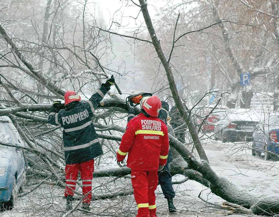 
    Pe Şoseaua Nordului, un copac  scos din rădăcini de viscol, a  căzut pe două autoturisme (Fotografii: Bogdan Mitu)  