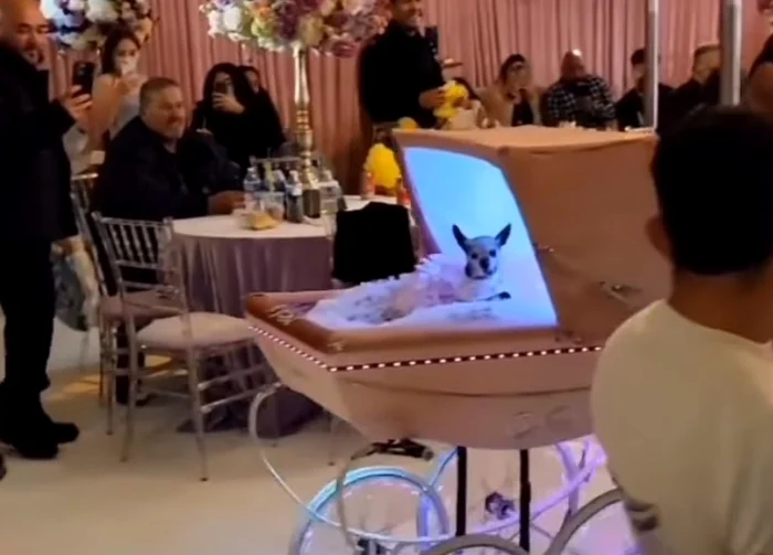 Risa a avut parte de o petrecere de zile mari (Foto: captură video)