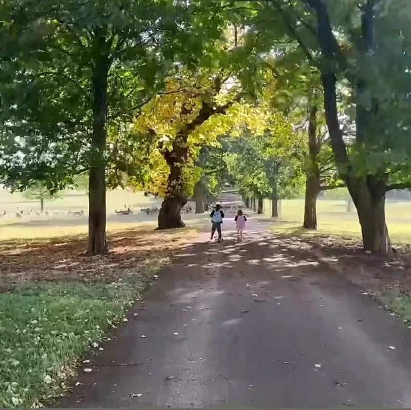 Archie și Lilibet la plimbare în Cotswolds.
