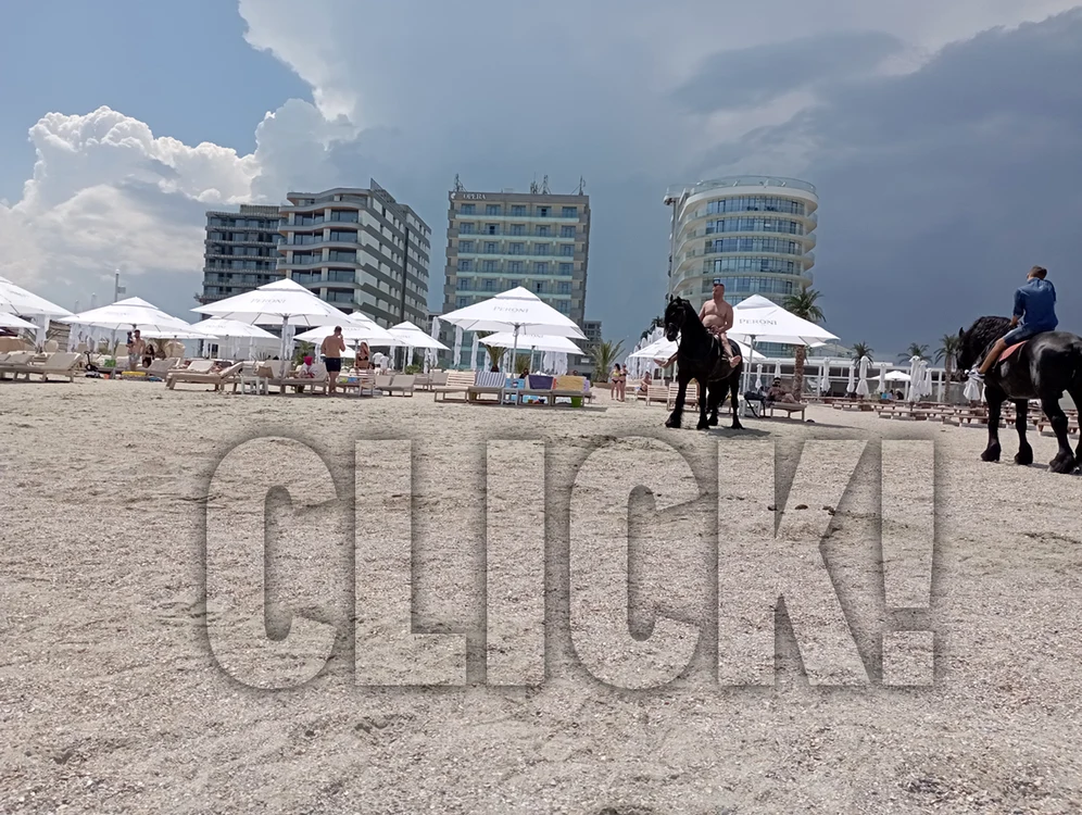 Caii lui Nuţu Cămătaru, la nunta lui Florin Salam Foto: Click!