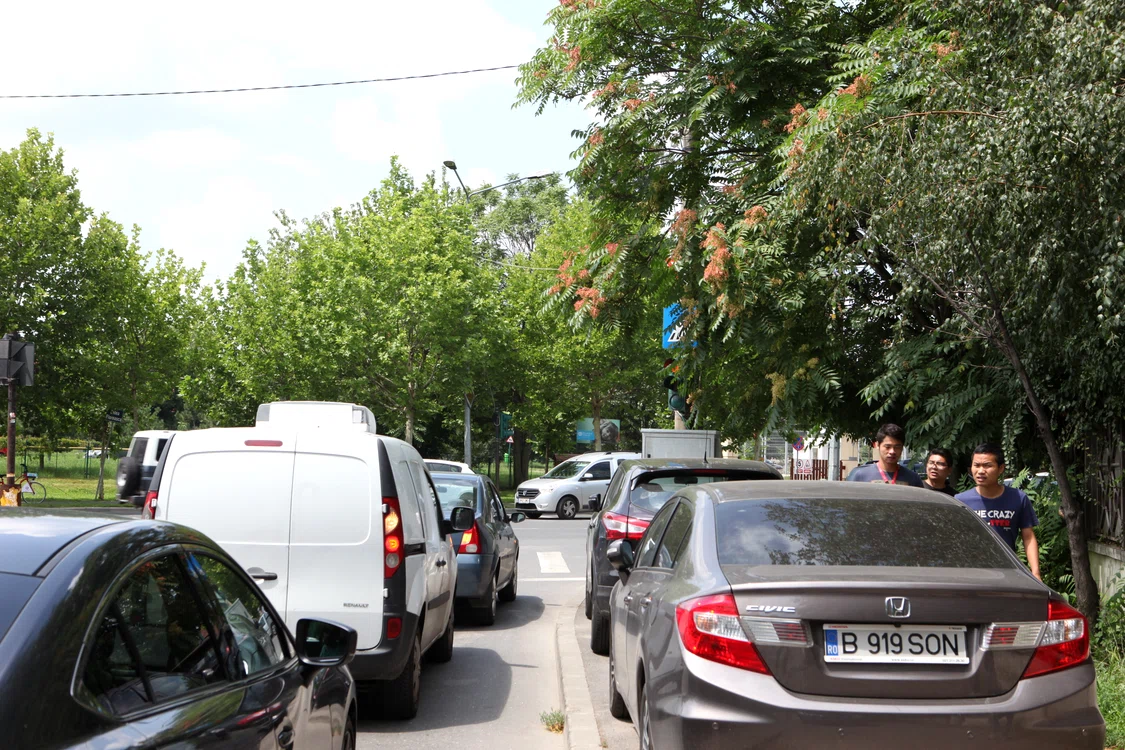 Ultimul semafor de pe strada Șos. Fabrica de Glucoză este obturat de crengi
