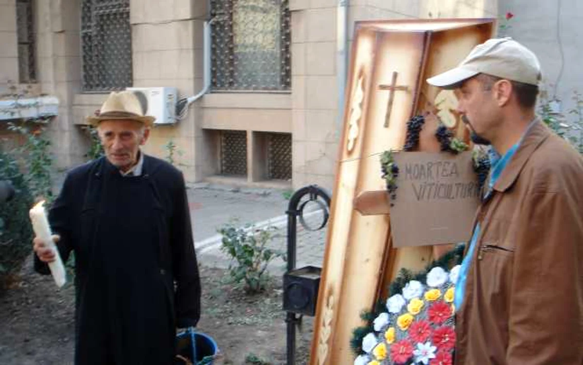 În 2008 se anunţa moartea viticulturii  Foto: Ştefan Borcea