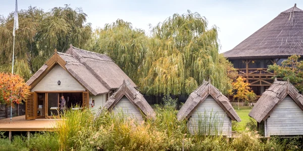 Iarna in delta foto green village