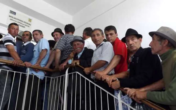 Fermierii pe holurile instituţiei FOTO Corina Macavei