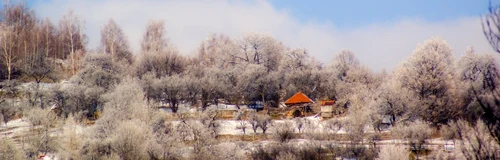 iarna in parcul gradstea muncelului foto remus suciu