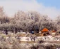 iarna in parcul gradstea muncelului foto remus suciu