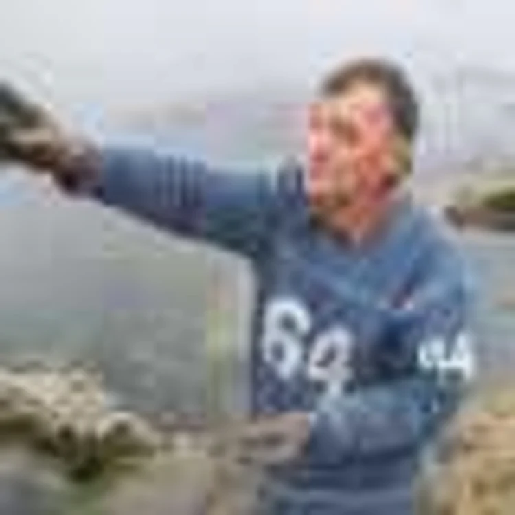 În comuna doljeană Gighera există ape minerale vindecătoare