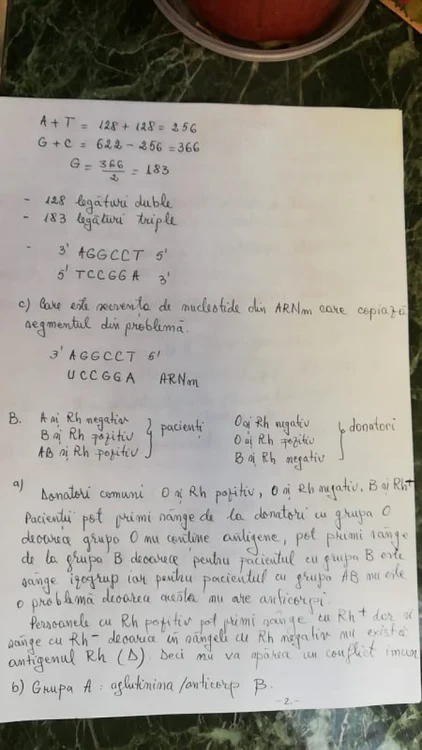 rezolvare anatomie foto arhiva