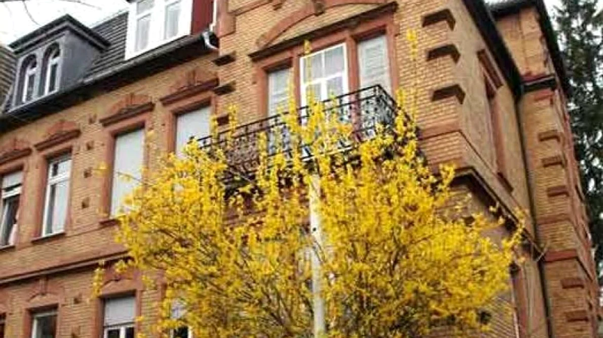 Casa de cultură românească, visul unei „familii” româneşti din exil jpeg