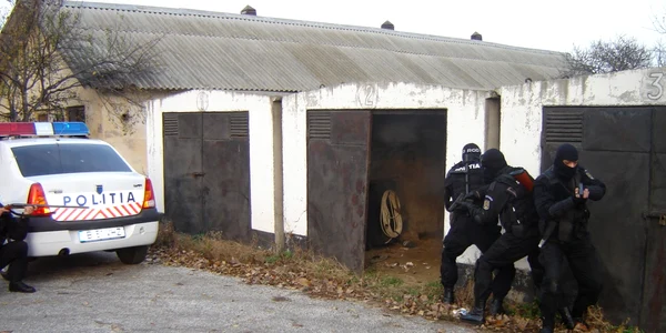 politie braila