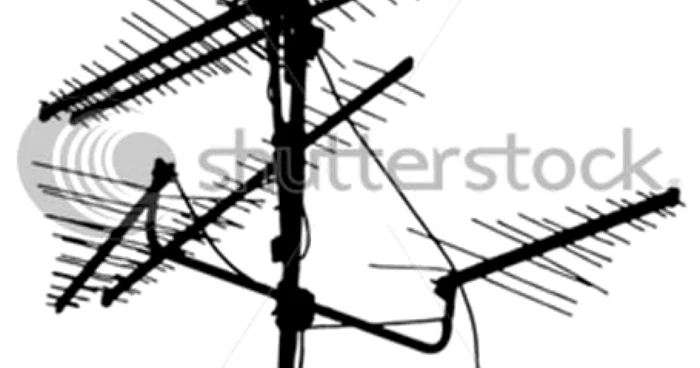 Shutterstock