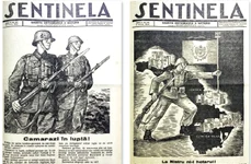 Sentinela