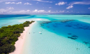 Directorul unei multinaţionale a cheltuit 100 000 $ pentru a trimite 400 de angajaţi într un team building în Maldive   jpeg