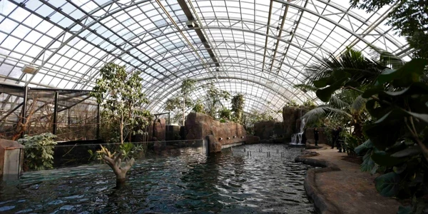 piscină de interior foto reuters