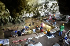 Cercetări arheologice în peștera Leang Bulu Bettue din sudul insulei Sulawesi, Indonezia (© Basran Burhan / Griffith University)