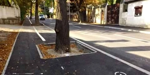 Traseul pistei de biciclete trece prin copaci