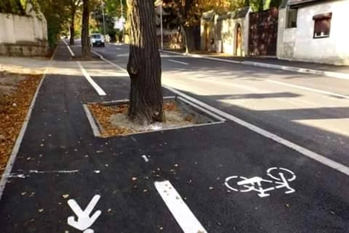 Traseul pistei de biciclete trece prin copaci. FOTOcovasnamedia.ro