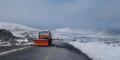 transalpina