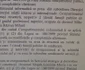 organigrama