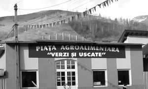 Genul programului: tragedie jpeg