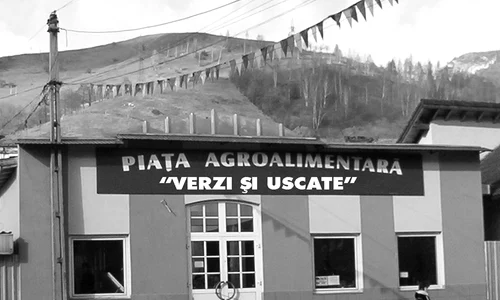 Genul programului: tragedie jpeg
