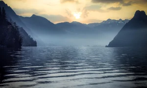 lac pixabay jpg