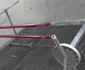 Bicicleta "Choper" de la Timişoara Foto