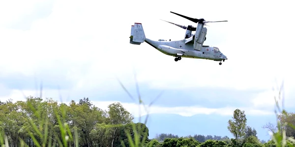 Osprey FOTO Profimedia jpg