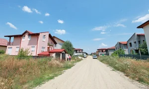 12 13 vedete 14 jpeg
