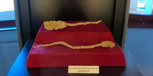 muzeul aurului brad foto lucian ignat