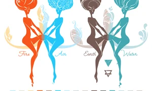 shutterstock 308653955 jpeg