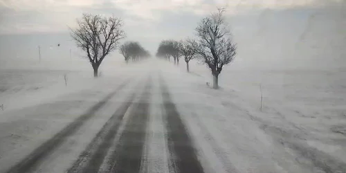 WhatsApp Video 2026 01 08 at 12 12 53 mp4 thumbnail png