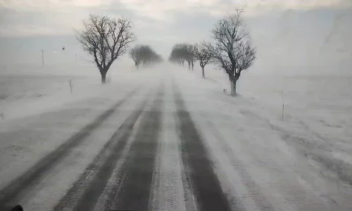 WhatsApp Video 2026 01 08 at 12 12 53 mp4 thumbnail png