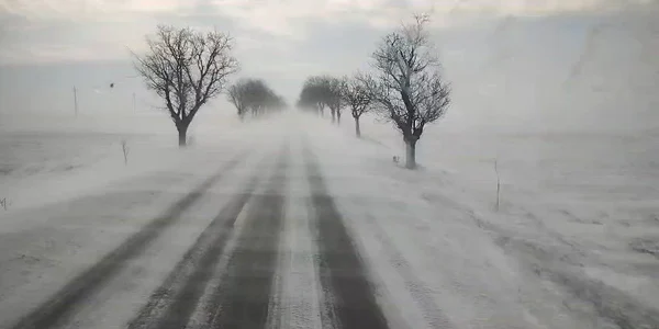 WhatsApp Video 2026 01 08 at 12 12 53 mp4 thumbnail png