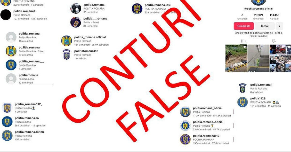 Ministerul Afacerilor Interne elimină 160 de conturi TikTok ilegale asociate Poliției Române