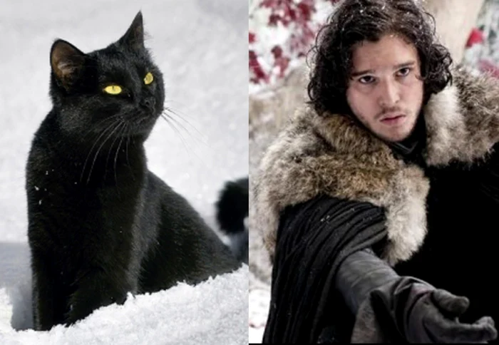 Jon Snow stylenheat.com