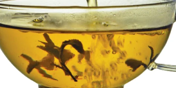 Mesteacănul conţine saponine