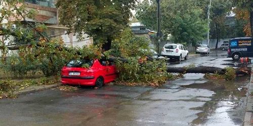 Copac doborat peste masina Galaţi FOTO gsg/facebook