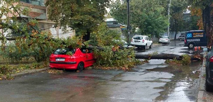 Copac doborât de furtună şi căzut peste o maşină la Galaţi FOTO grupul şoferilor din Galaţi