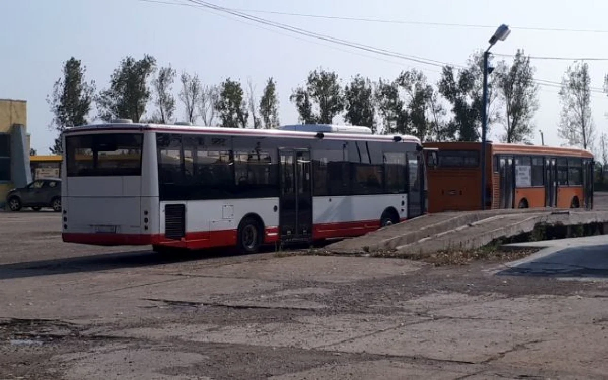 buzau