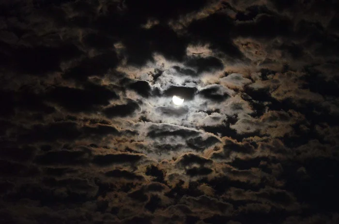 174220402 5319916658078969 719074362854928371 n jpg jpeg