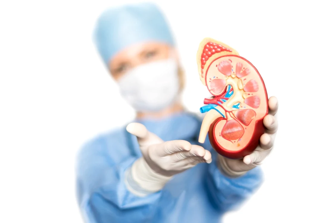 Transplant de organe. FOTO:Shutterstock